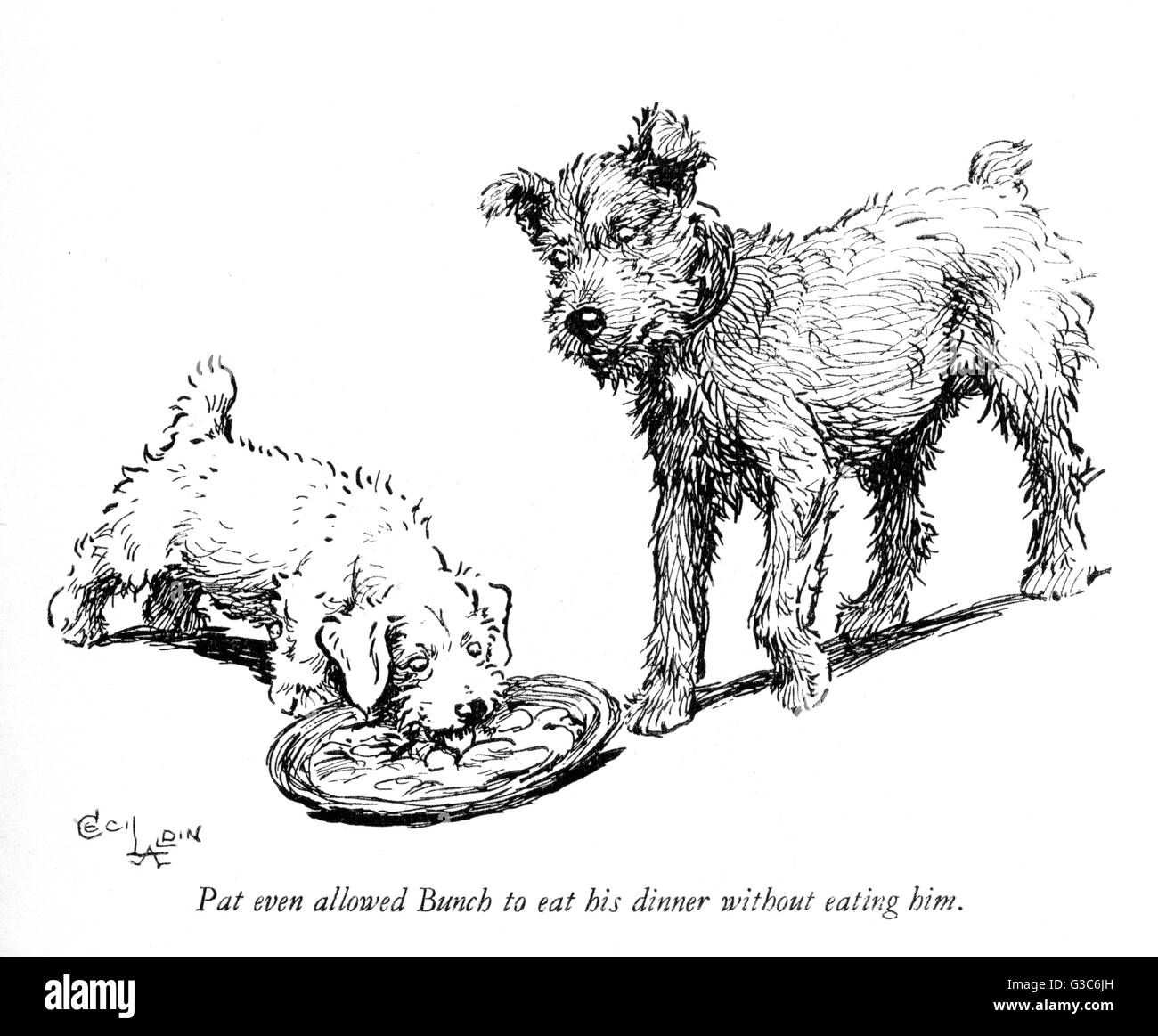 Illustrazione di un cucciolo di terrier Sealyham di Cecil Aldin Foto Stock