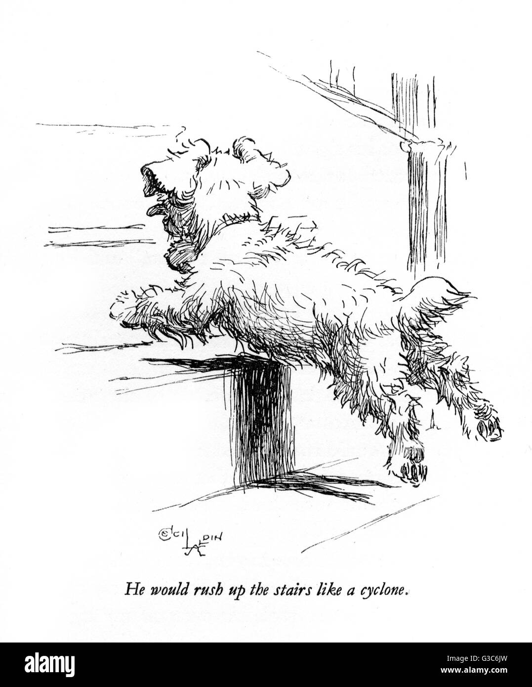 Illustrazione di un cucciolo di terrier Sealyham di Cecil Aldin Foto Stock