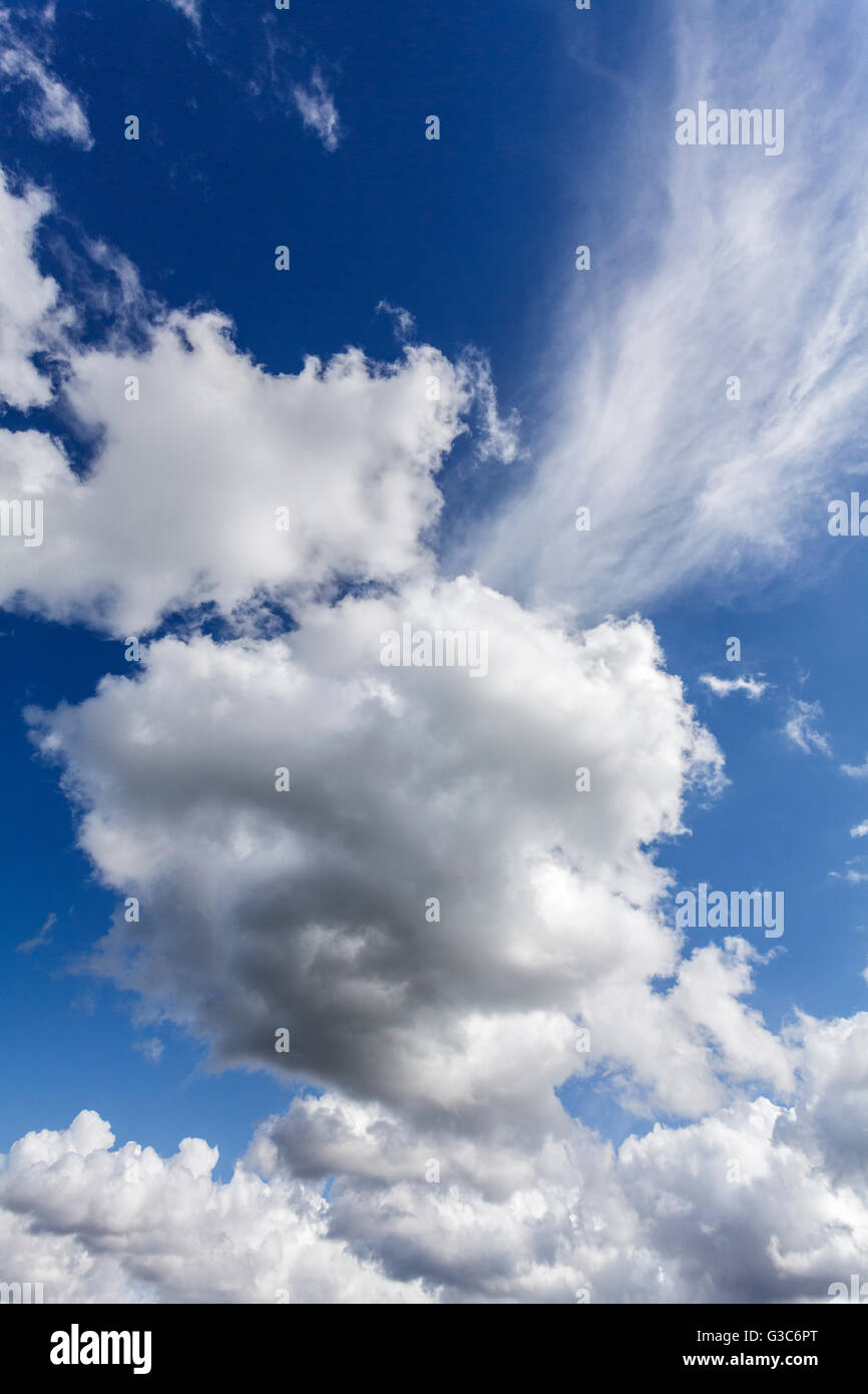 Cumulus nuvole e cielo blu Foto Stock