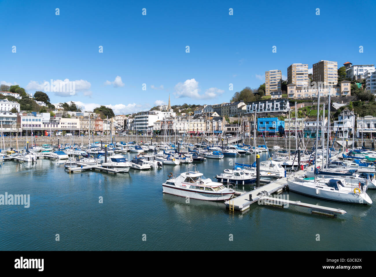 Torquay porto e città in South Devon, Regno Unito Foto Stock