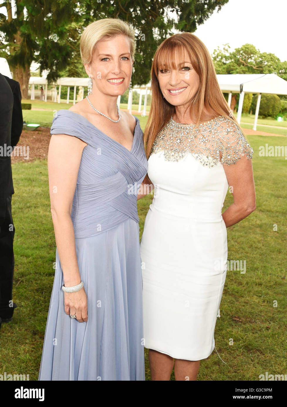 La Contessa di Wessex e Jane Seymour frequentare il Duca di Edimburgo Award sessantesimo anniversario i diamanti sono per sempre Gala a Stoke Park, Stoke Poges, Buckinghamshire. Foto Stock