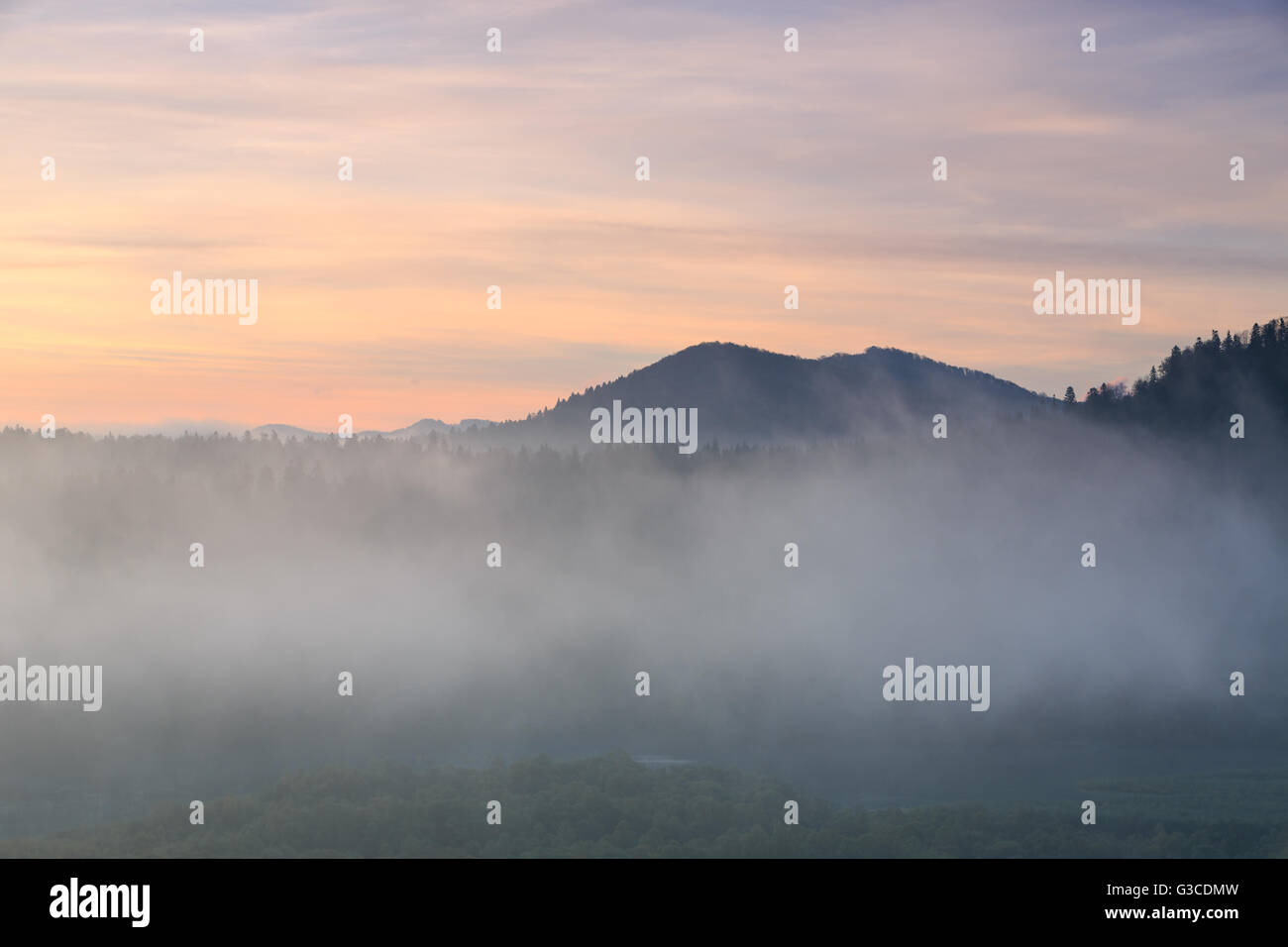 Nebbia all alba nei monti Bieszczady Foto Stock