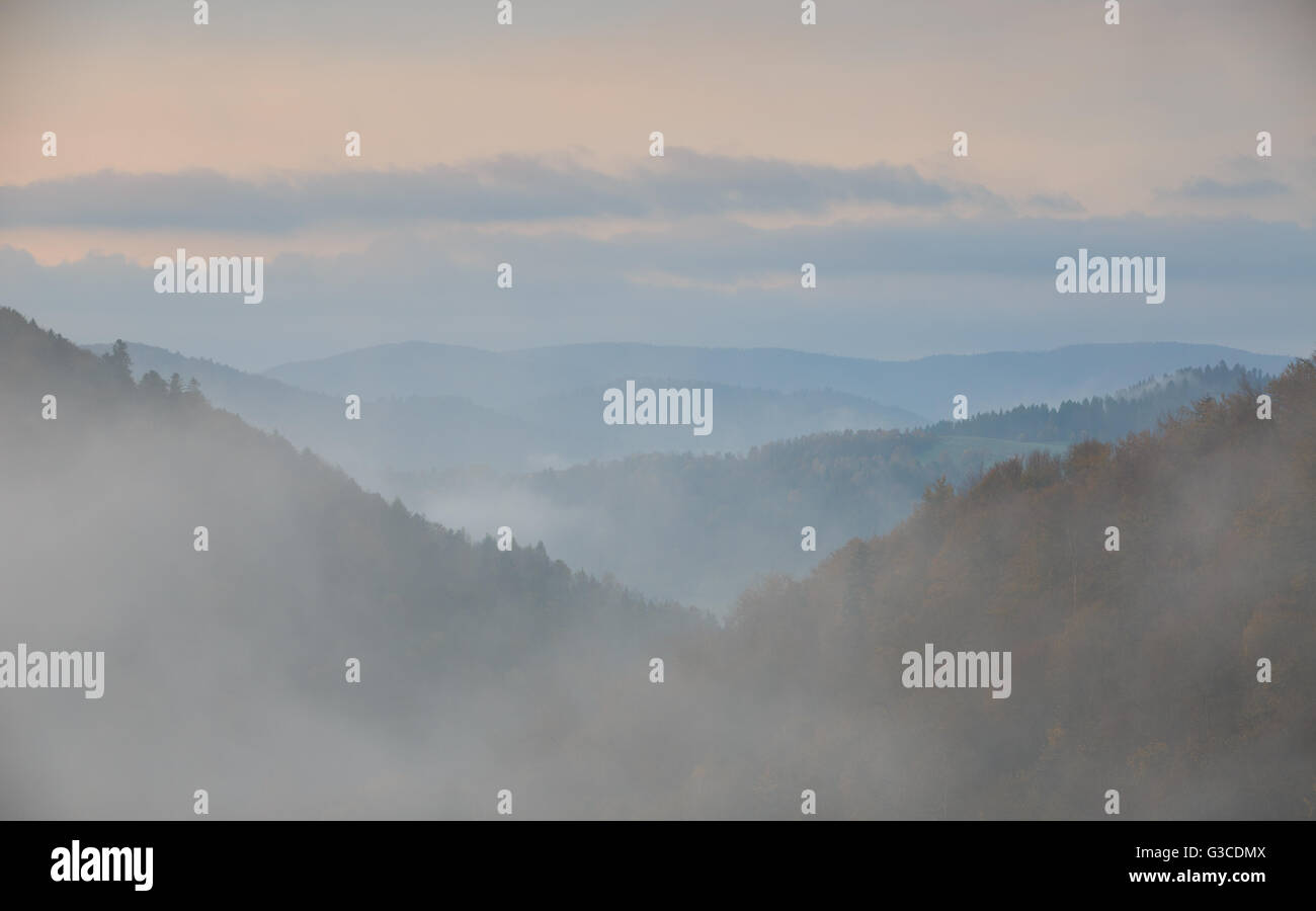 Nebbia all alba nei monti Bieszczady Foto Stock