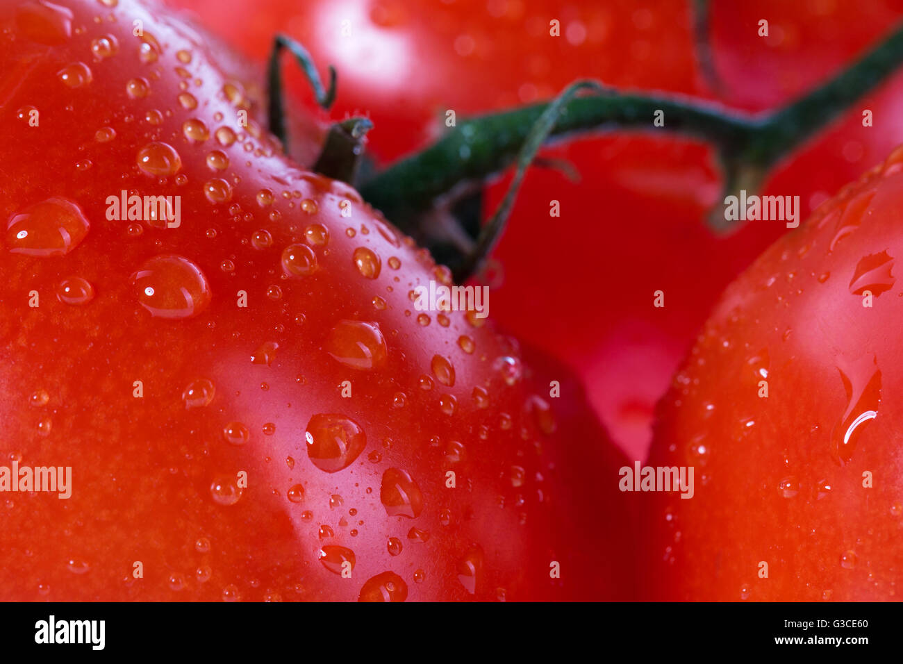 Pomodori per la fotografia macro Foto Stock