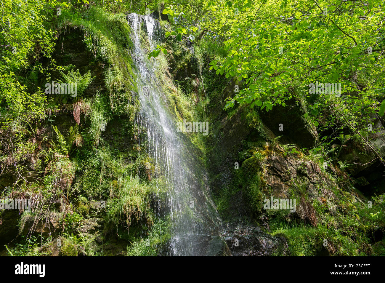 Una foto dell'acqua a cascata verso il basso Mallyan Spout cascata sul fiume Esk appena fuori Goathland Foto Stock