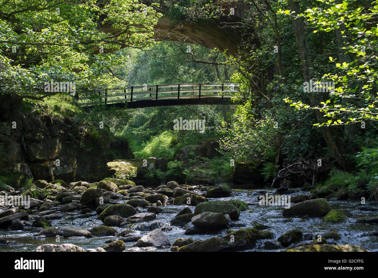 La passerella che passano al di sotto del North Yorkshire Moors Railway tra Goathland e Beck foro Foto Stock