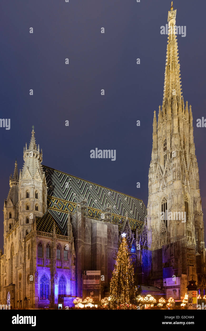 Stephansdom, Vienna, Austria, notte, illuminazione, Natale, avvento, blu ora Foto Stock