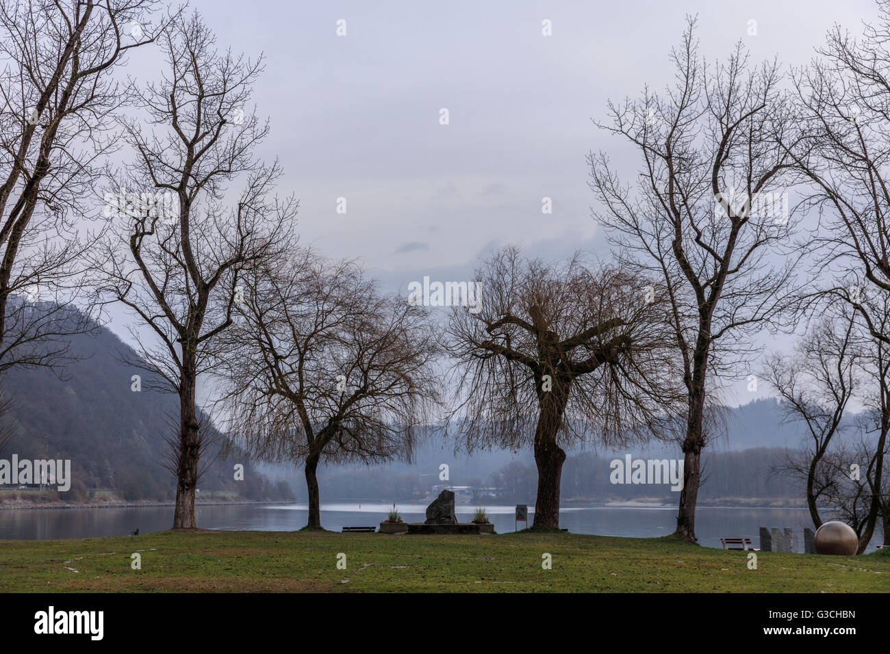 Il Danubio e la Locanda a tre fiumi angolo in Passau, Germania, il Land della Baviera, albero, alberi, inverni, prato Foto Stock
