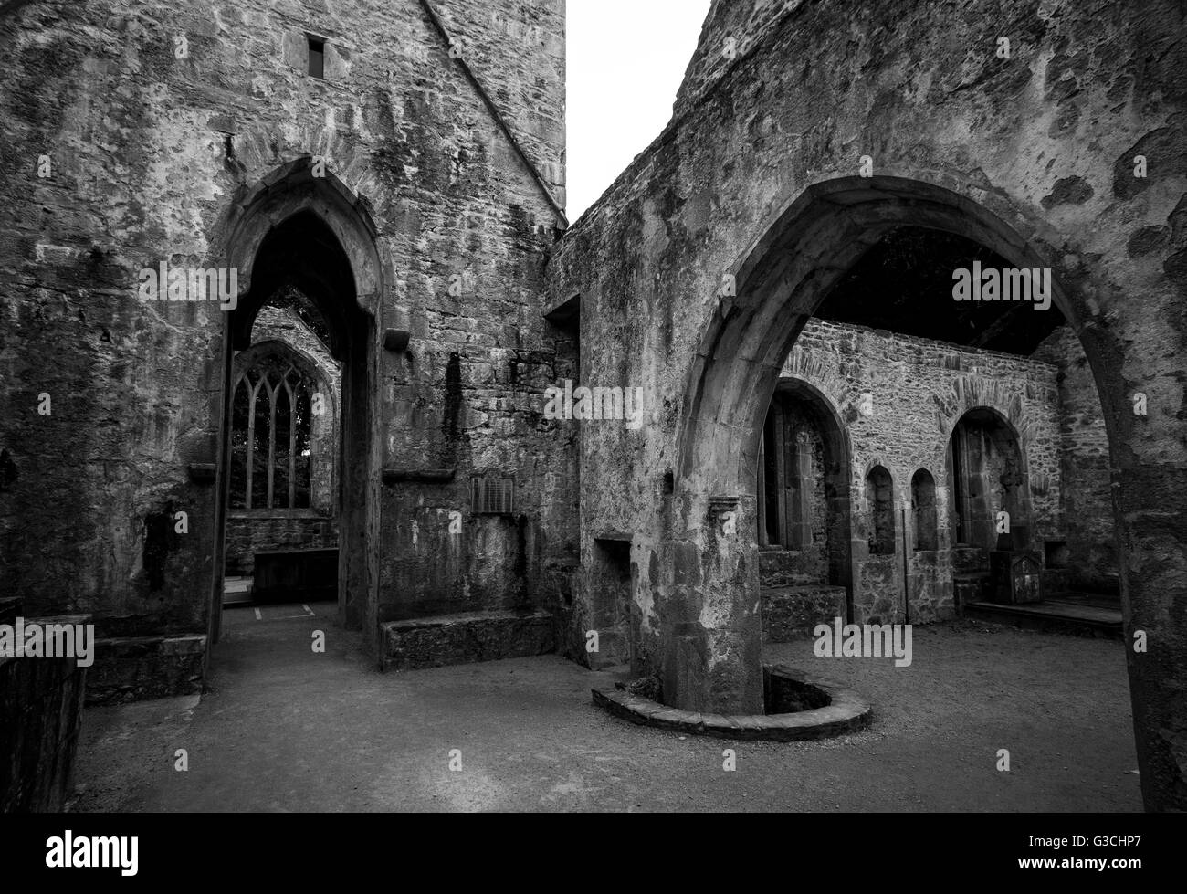 Abbazia Muckross, Parco Nazionale di Killarney, Irlanda Foto Stock