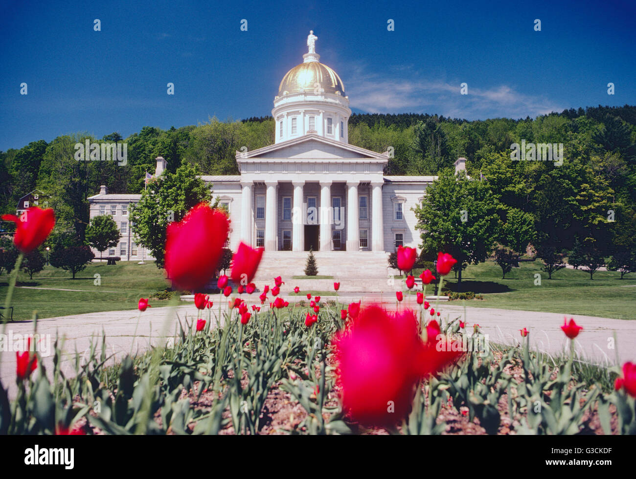 La capitale dello stato edificio; Montpelier; Vermont: STATI UNITI D'AMERICA Foto Stock