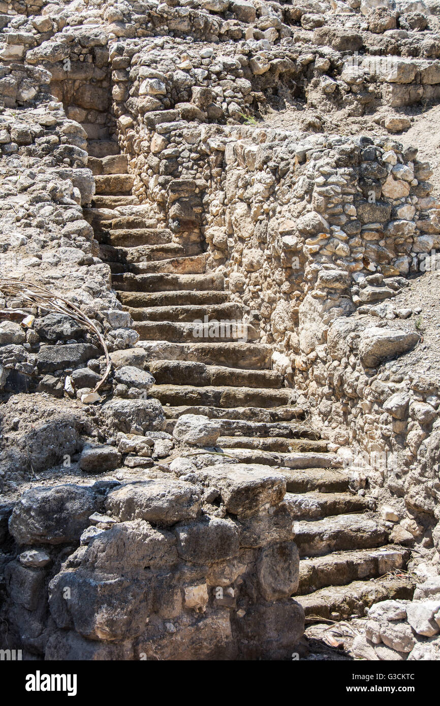Israele, Meghiddo, parco nazionale, sito di scavo, scale, liquidazione, prima Età del Bronzo, sito di ricerca, UNESCO-patrimonio culturale mondiale, palme Foto Stock