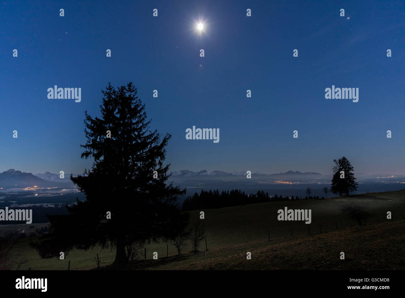 Moonlight sull'Auerberg, in Germania, in Baviera, Algovia, Auerberg, Alpi e Altopiano alpino, mattina, oscurità, scuro, abete rosso, albero, silhouette, Füssen Foto Stock