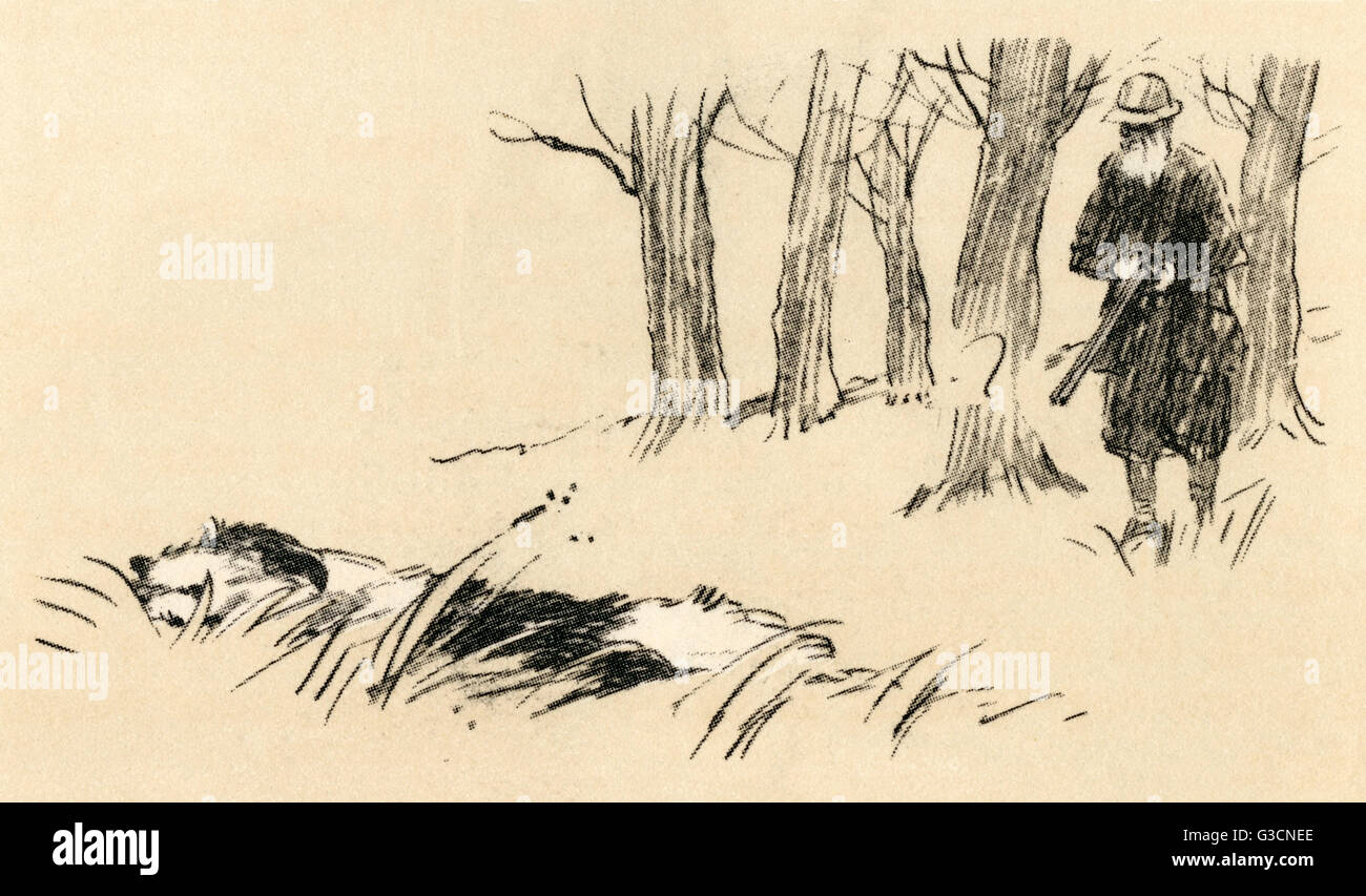 Illustrazione di Cecil Aldin, un cane che caccia da solo Foto Stock