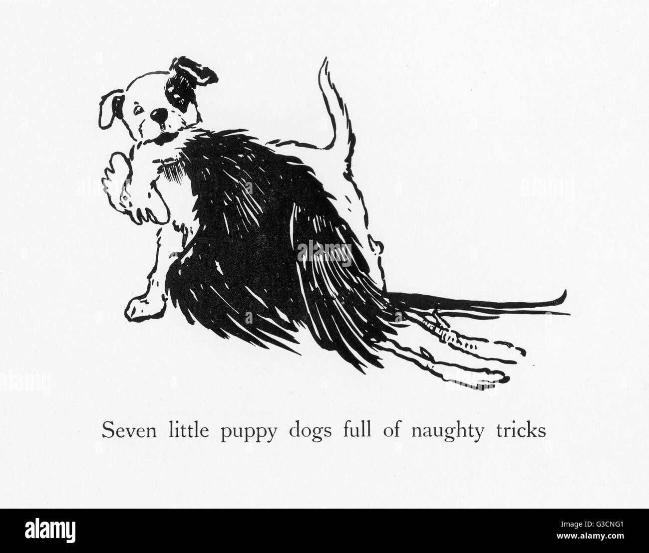 Illustrazione di Cecil Aldin, dieci piccoli cani da cucciolo Foto Stock