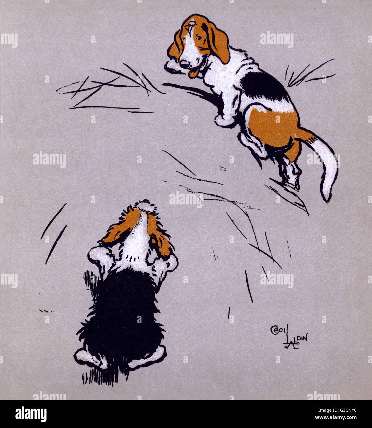 Illustrazione di Cecil Aldin, il Puppies del Farmyard Foto Stock