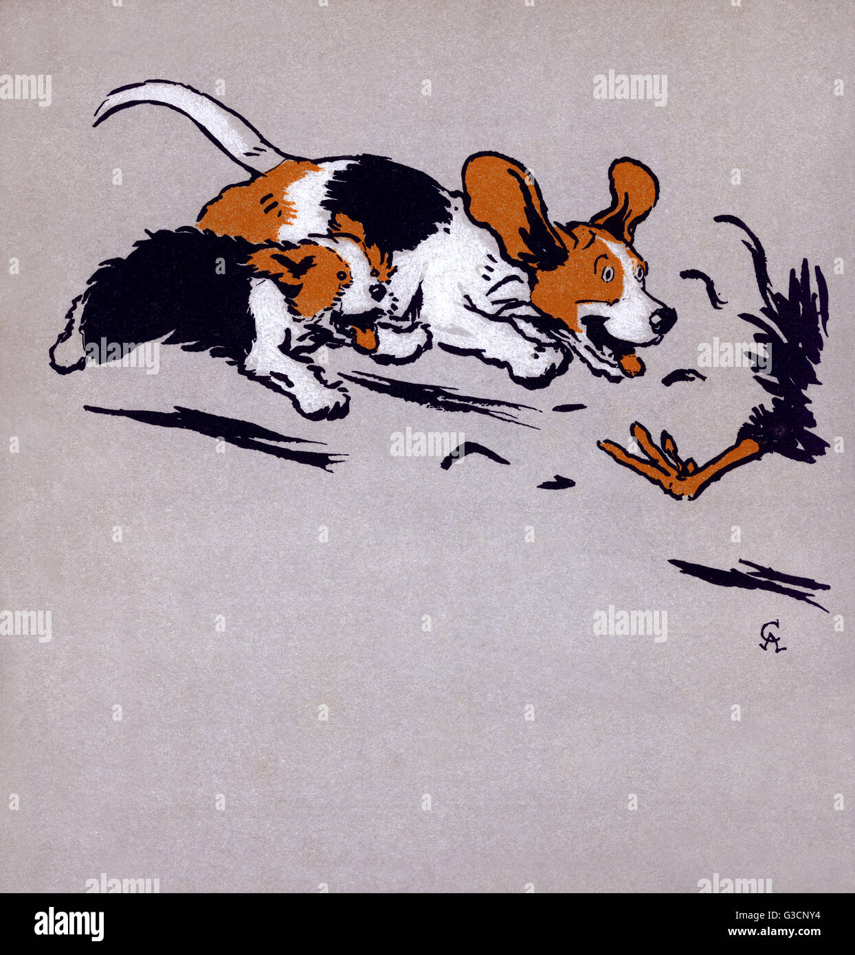 Illustrazione di Cecil Aldin, il Puppies del Farmyard Foto Stock