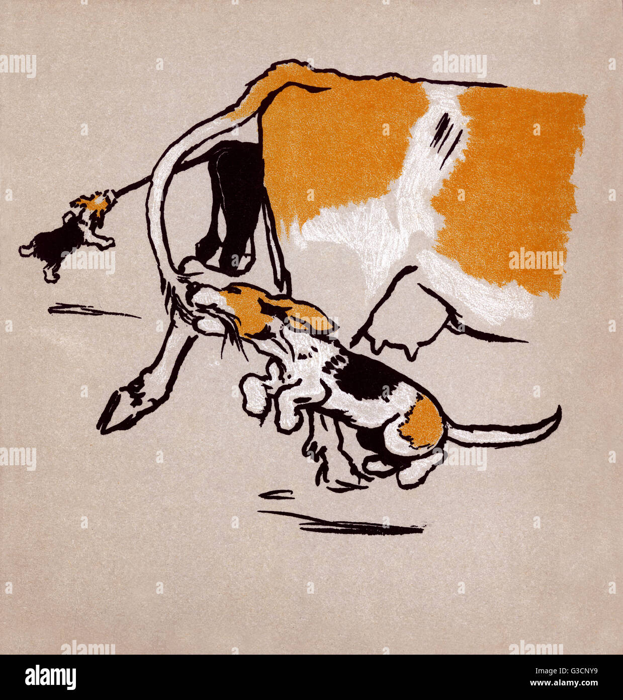 Illustrazione di Cecil Aldin, il Puppies del Farmyard Foto Stock