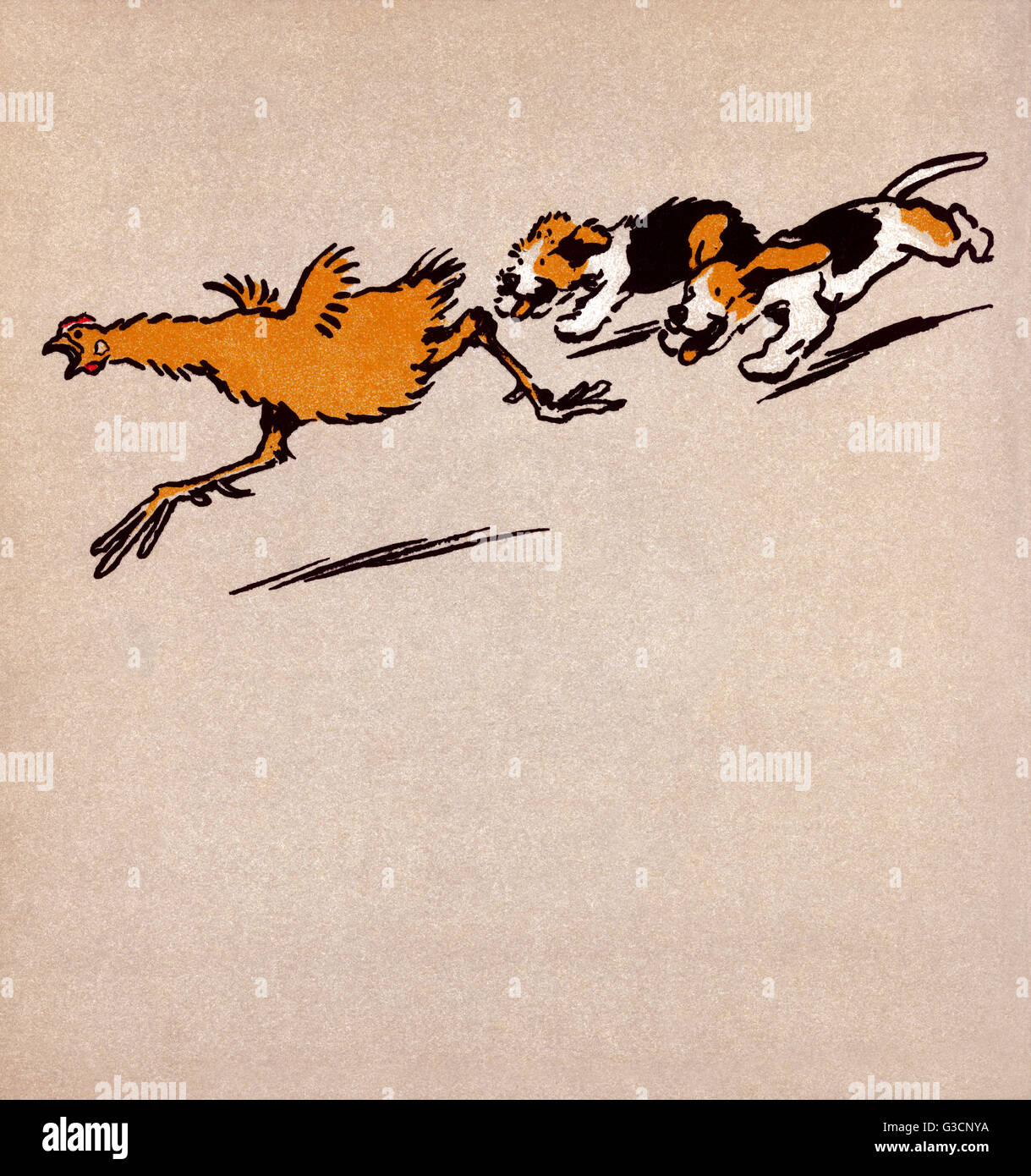 Illustrazione di Cecil Aldin, il Puppies del Farmyard Foto Stock