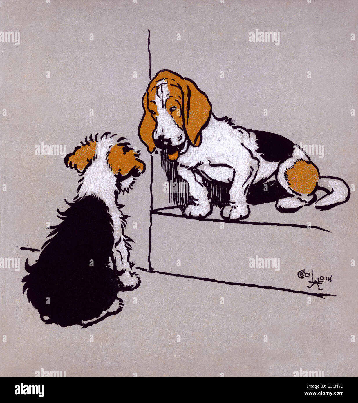 Illustrazione di Cecil Aldin, il Puppies del Farmyard Foto Stock
