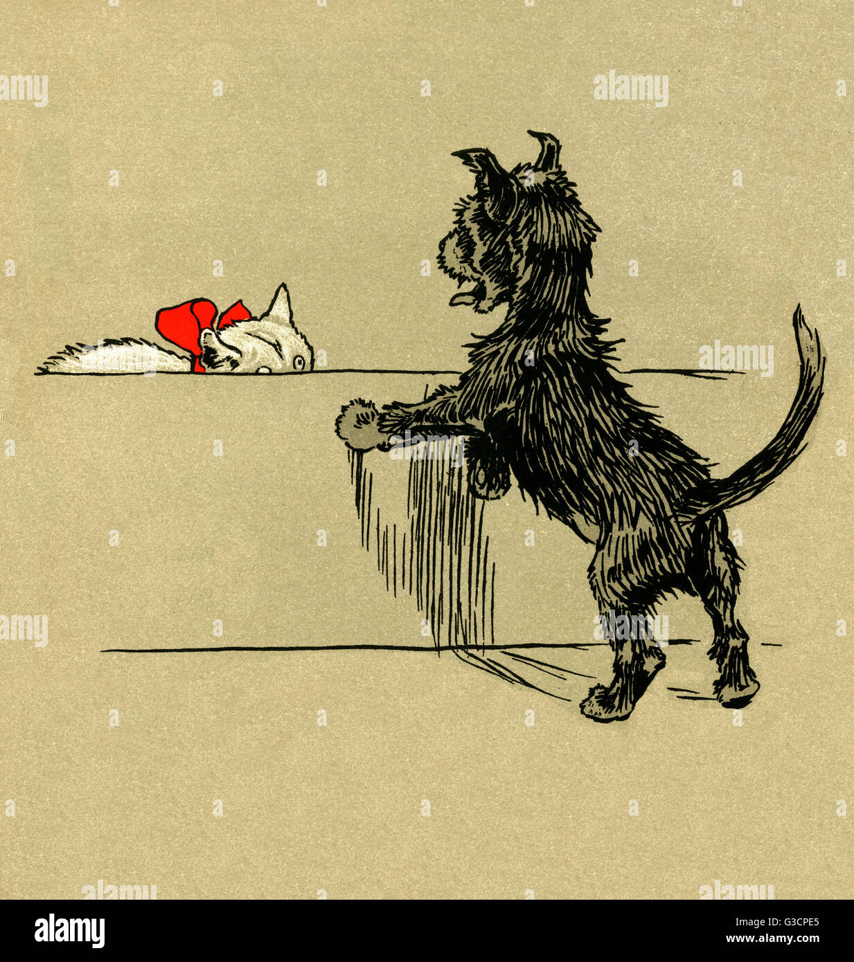 Illustrazione di Cecil Aldin, il libro bianco del gattino Foto Stock