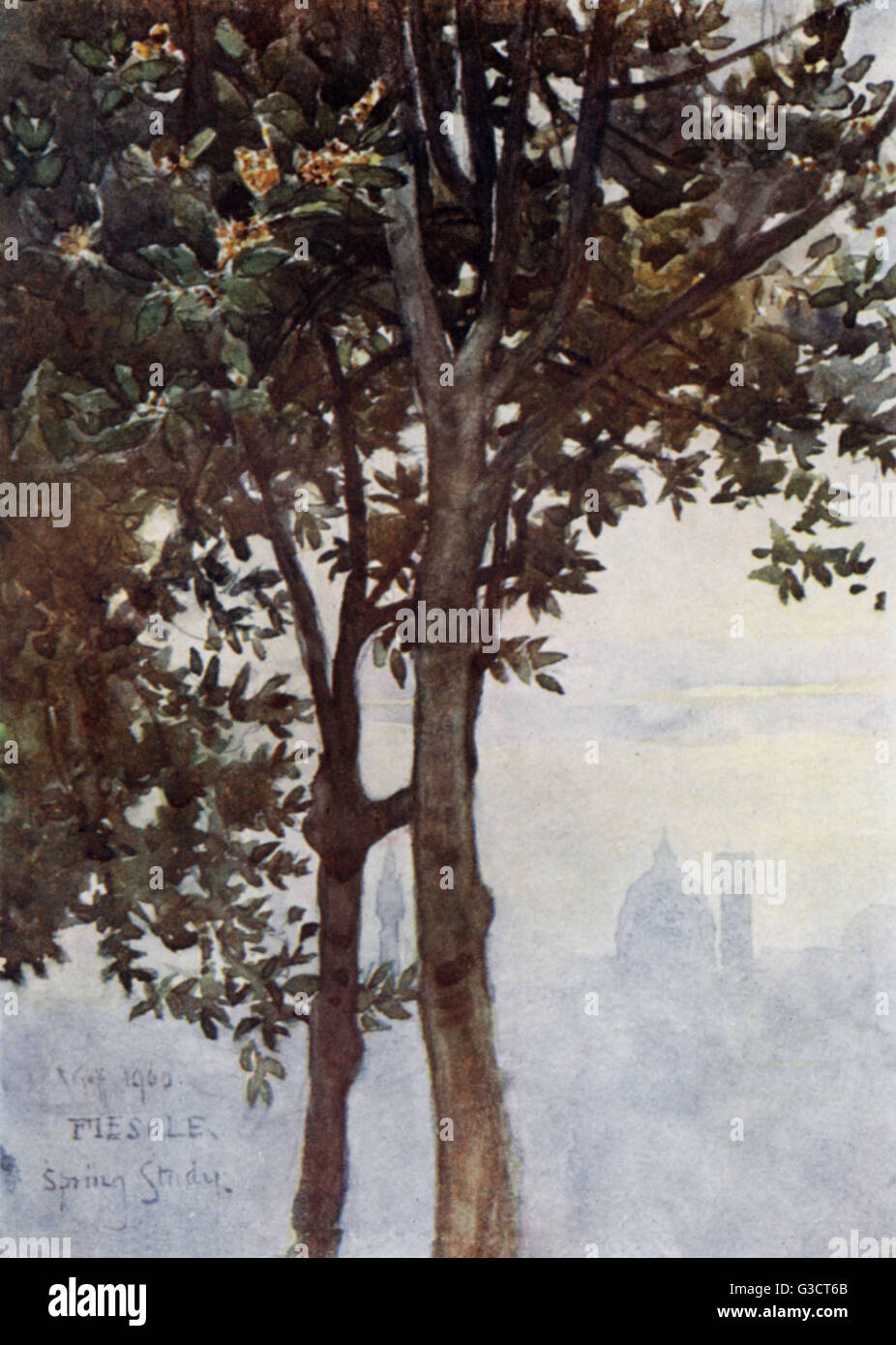 Le Torri di Firenze appaiono fuori della nebbia - da sotto le piante di alloro a Fiesole, Italia. Data: 1905 Foto Stock