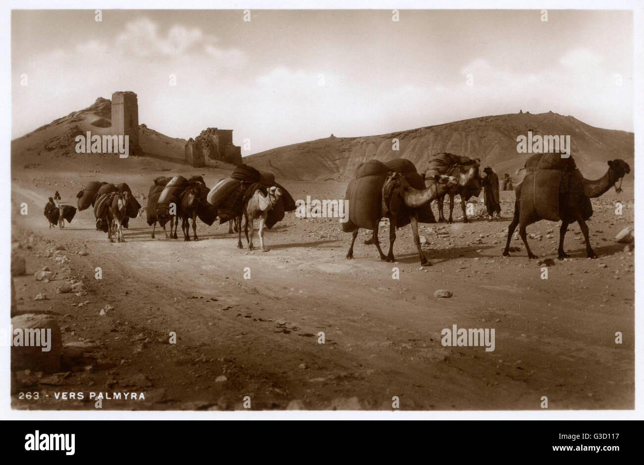 Camel Caravan vicino a Palmyra, Homs Governate, Siria. Risalente al Neolitico, Palmyra è stata per la prima volta attestata agli inizi del secondo millennio A.C. come una sosta della carovana per viaggiatori che attraversa il deserto siriano. Al di fuori delle mura antiche, a ovest, il Palm Foto Stock