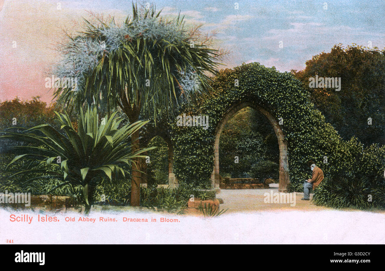 Tresco - Isole Scilly - le rovine dell'antica abbazia Foto Stock