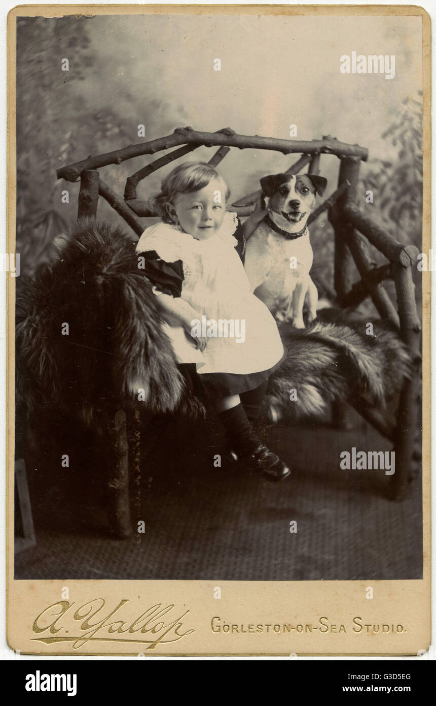 Studio ritratto, ragazzo con cane terrier Foto Stock