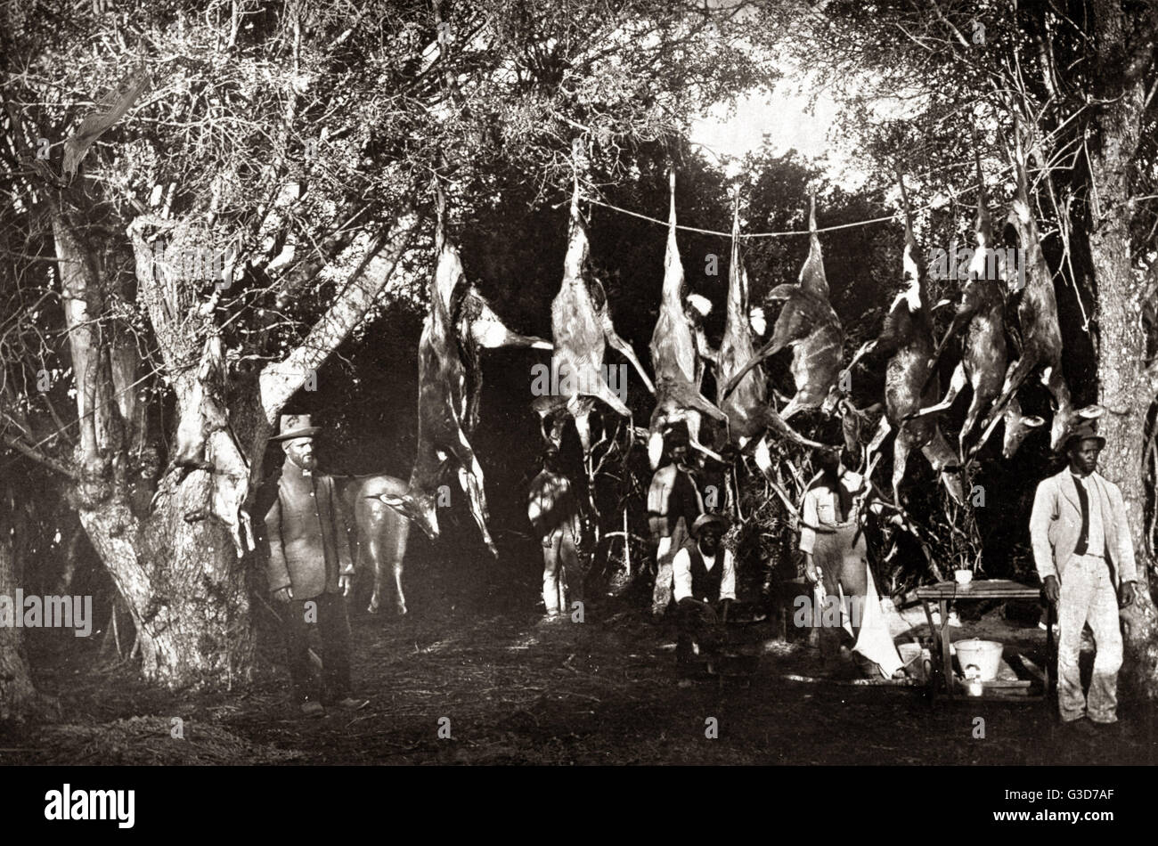 Cacciatori di caccia con la loro cattura, Sud Africa, circa 1888 Foto Stock