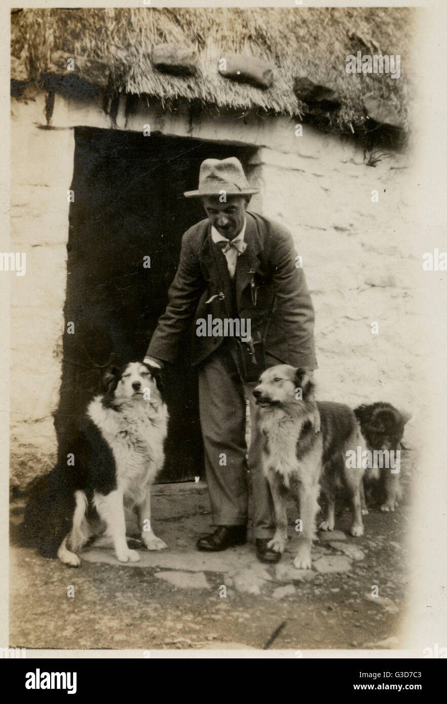 Uomo in Scozia con tre cani da collie Foto Stock