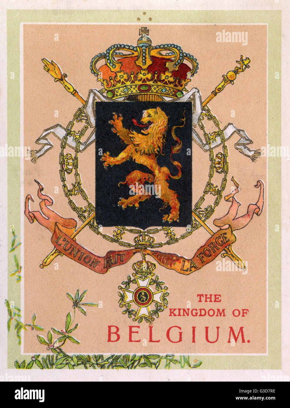 Stemma del Regno del Belgio Foto Stock
