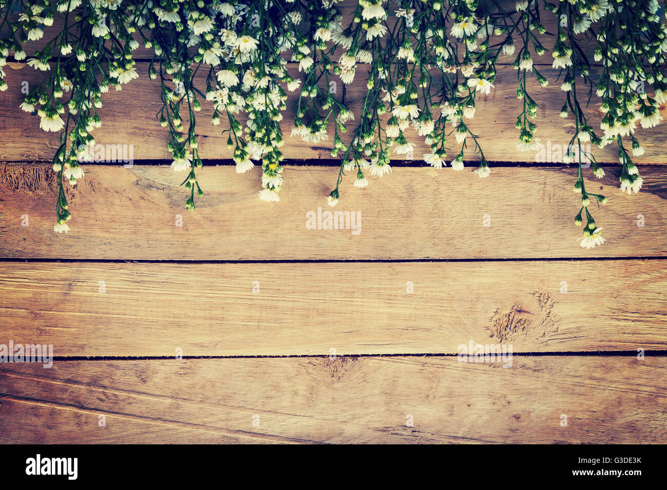 Fiori su legno sfondo texture con copyspace. In stile vintage. Foto Stock