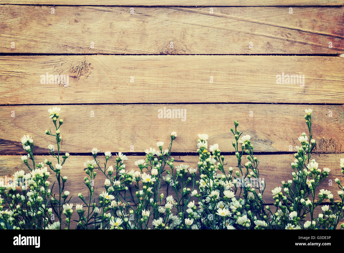 Fiori su legno sfondo texture con copyspace. In stile vintage. Foto Stock