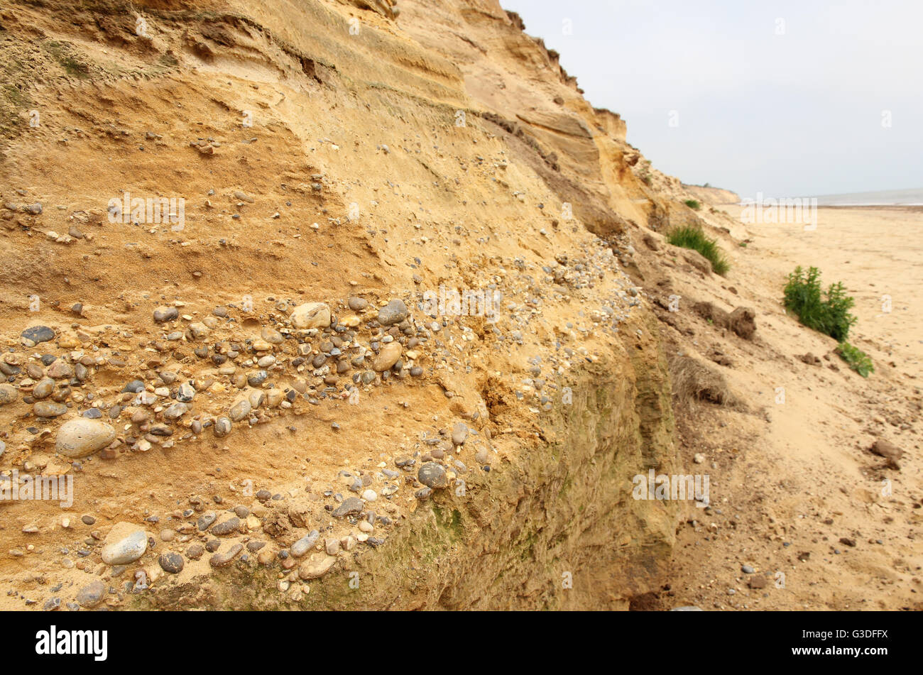 Scogliere Covehithe, Suffolk, Inghilterra Foto Stock