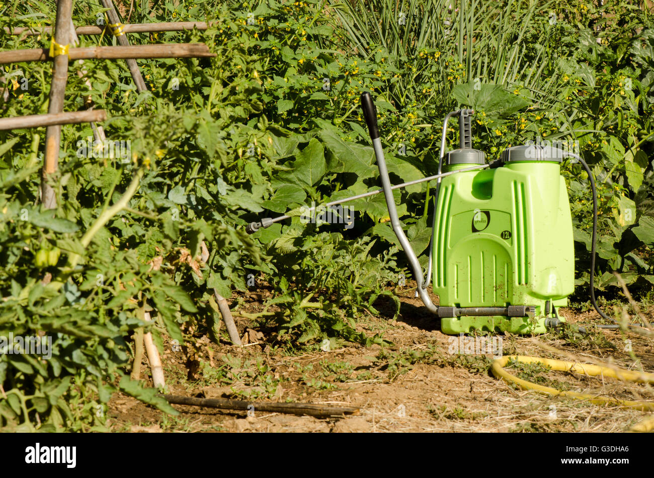 Verde applicatore di antiparassitari e di pompa erogatrice accanto al giardino vegetale. Spagna. Foto Stock