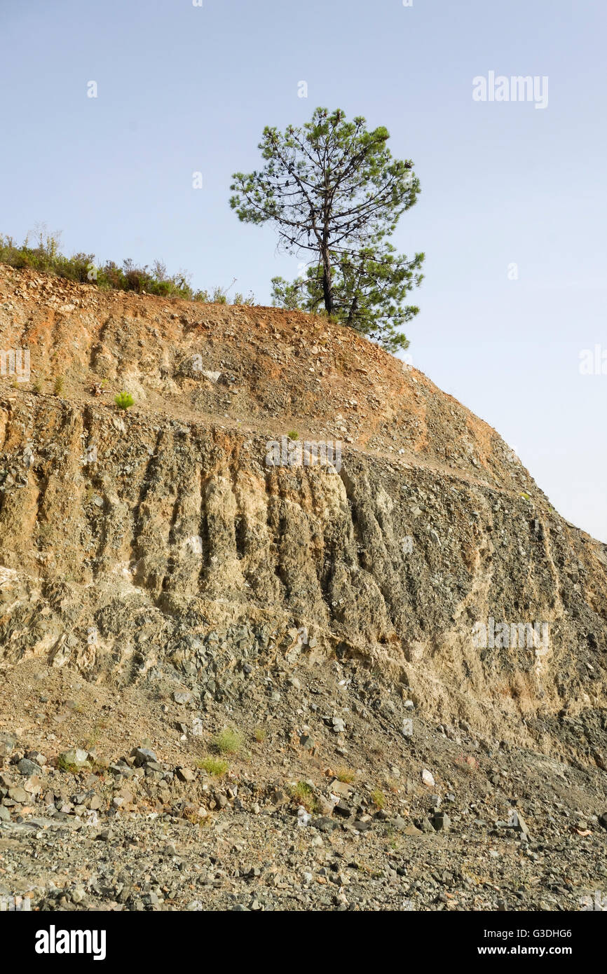 Sito di scavo, a parete con un unico albero di pino. Spagna. Foto Stock