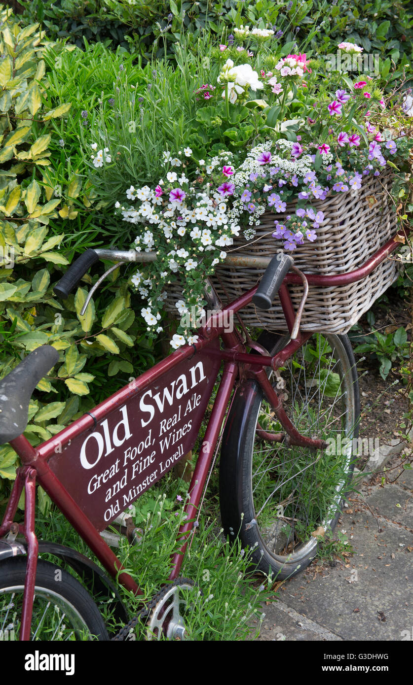 Vecchia bicicletta paniere pieno di fiori al di fuori della Old Swan public house, Minster Lovell, Oxfordshire, Inghilterra Foto Stock