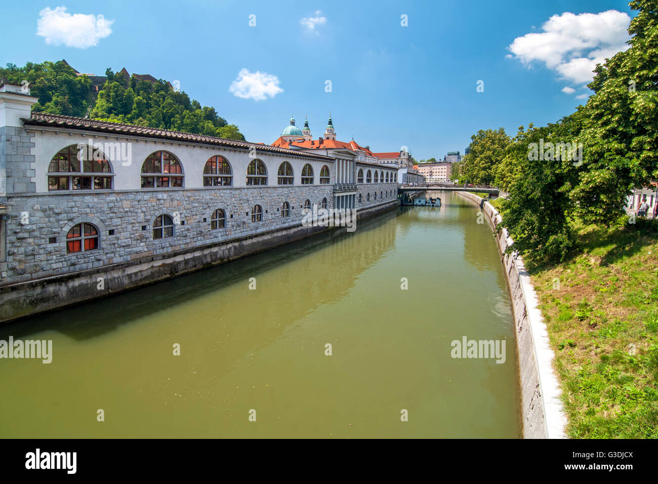 Fiume Ljubljanica e mercato coperto in una luminosa giornata di sole, Lubiana, Slovenia Foto Stock