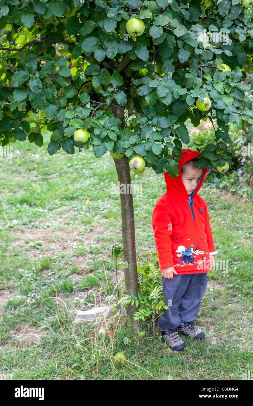 Triste figlio solo, un bambino sotto l'albero di mele in un giardino solitudine di un ragazzino brulicante Sad Young Boy Foto Stock