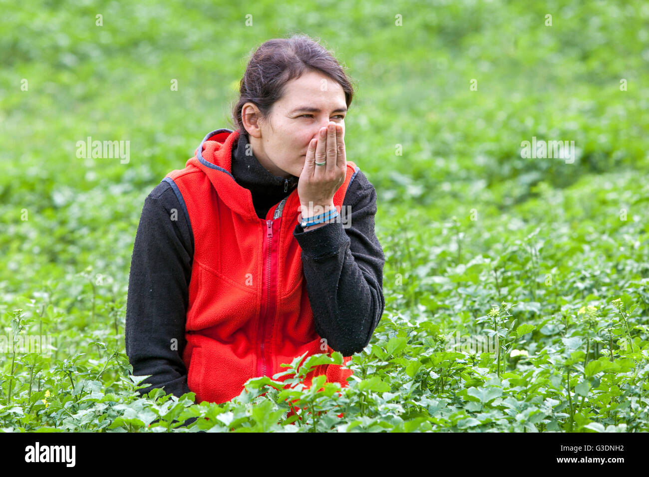 Donna nel giardino delle erbe erbe erbe erbe di piante aromatiche signora odorante piante donna giardino di erbe Foto Stock