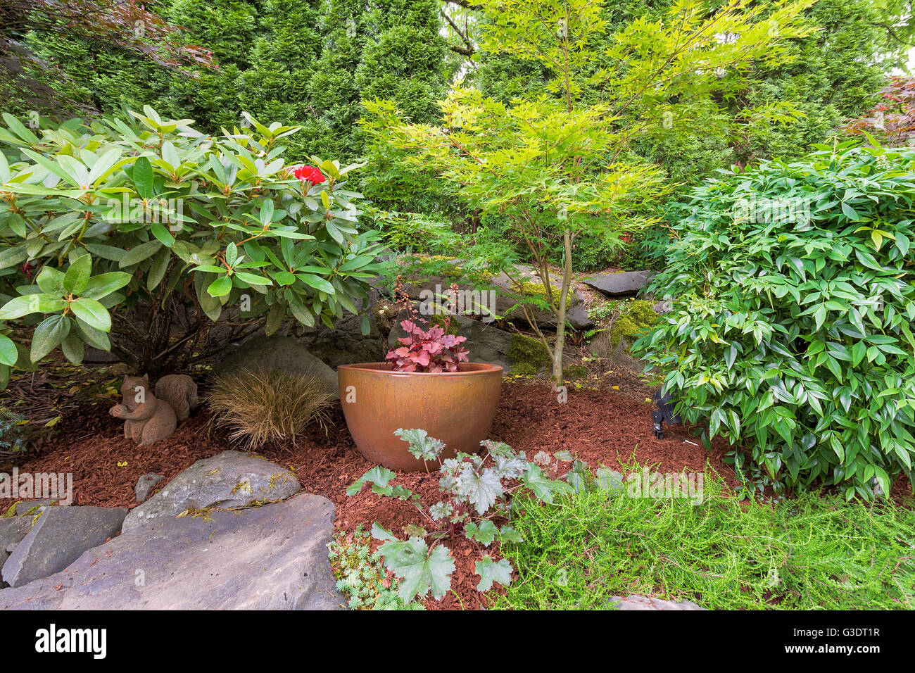 Giardino nel cortile paesaggistico contenitore oro pot con piante e arbusti alberi rocce e polvere di corteccia Foto Stock