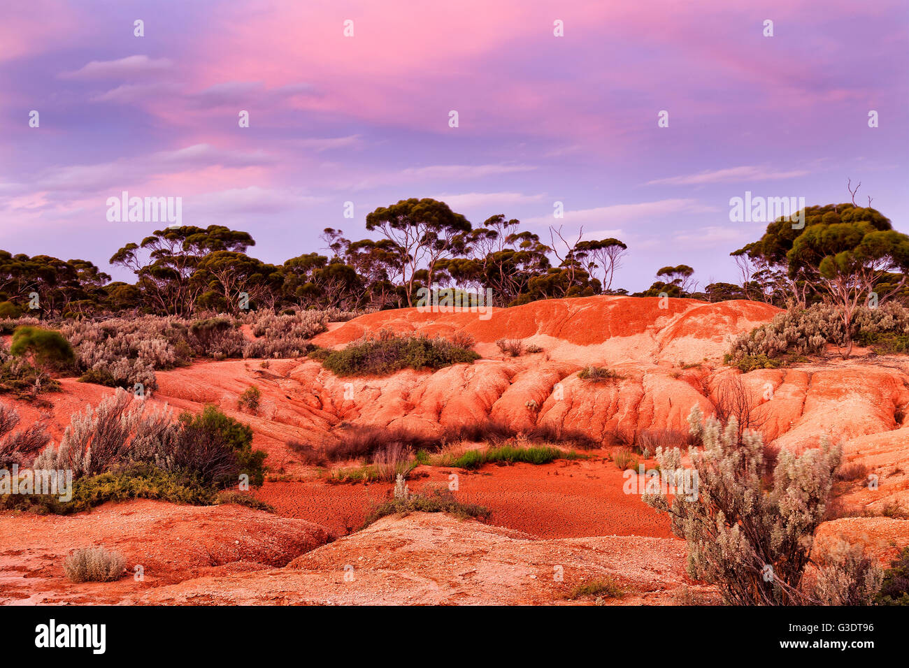 Essiccato billabong foro di acqua in terra rossa outback australiano del Western Australia al tramonto. Asciugare un terreno arido con rari eucalipto t Foto Stock