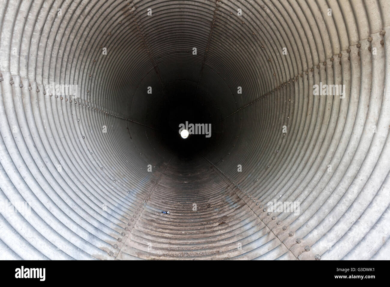 WA11821-00...WASHINGTON - Grande canale sotterraneo di tunnel a Lione traghetto. Foto Stock