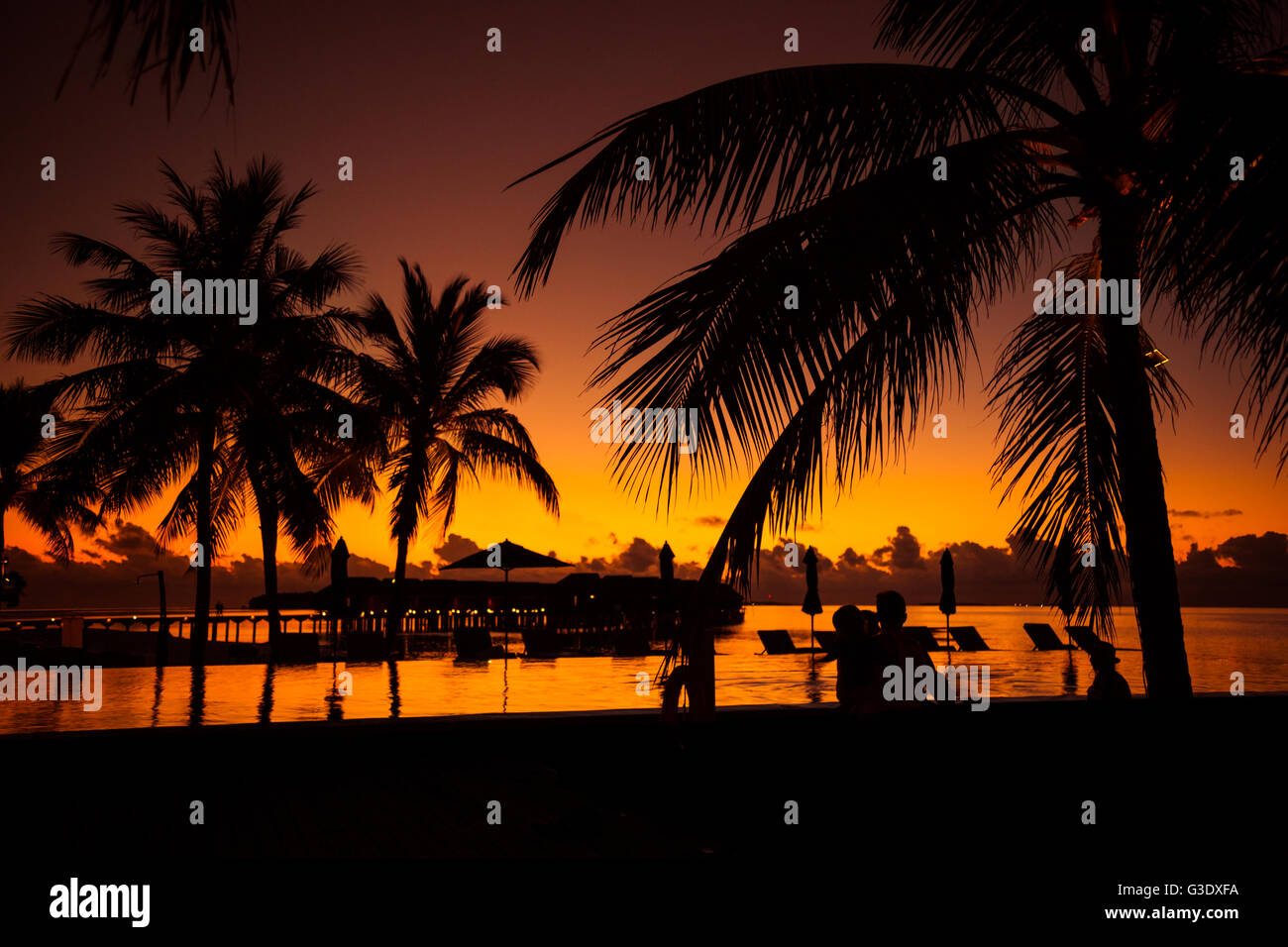 Spiaggia Tropicale Sfondo Con Palme Silhouette Al Tramonto Vintage Effetto Instagram Foto Stock Alamy