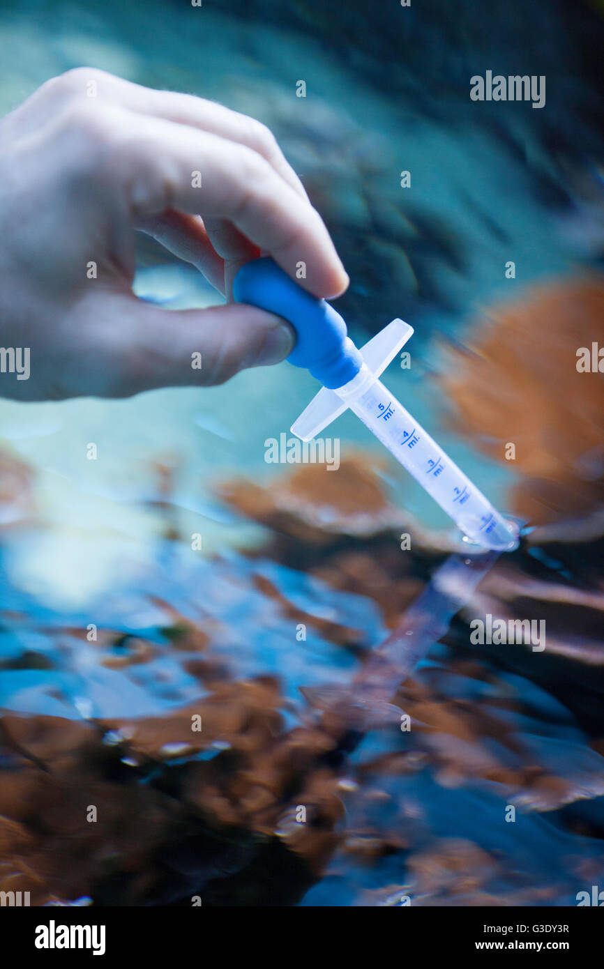 Qualità dell'acqua test a Waikiki Aquarium Foto Stock