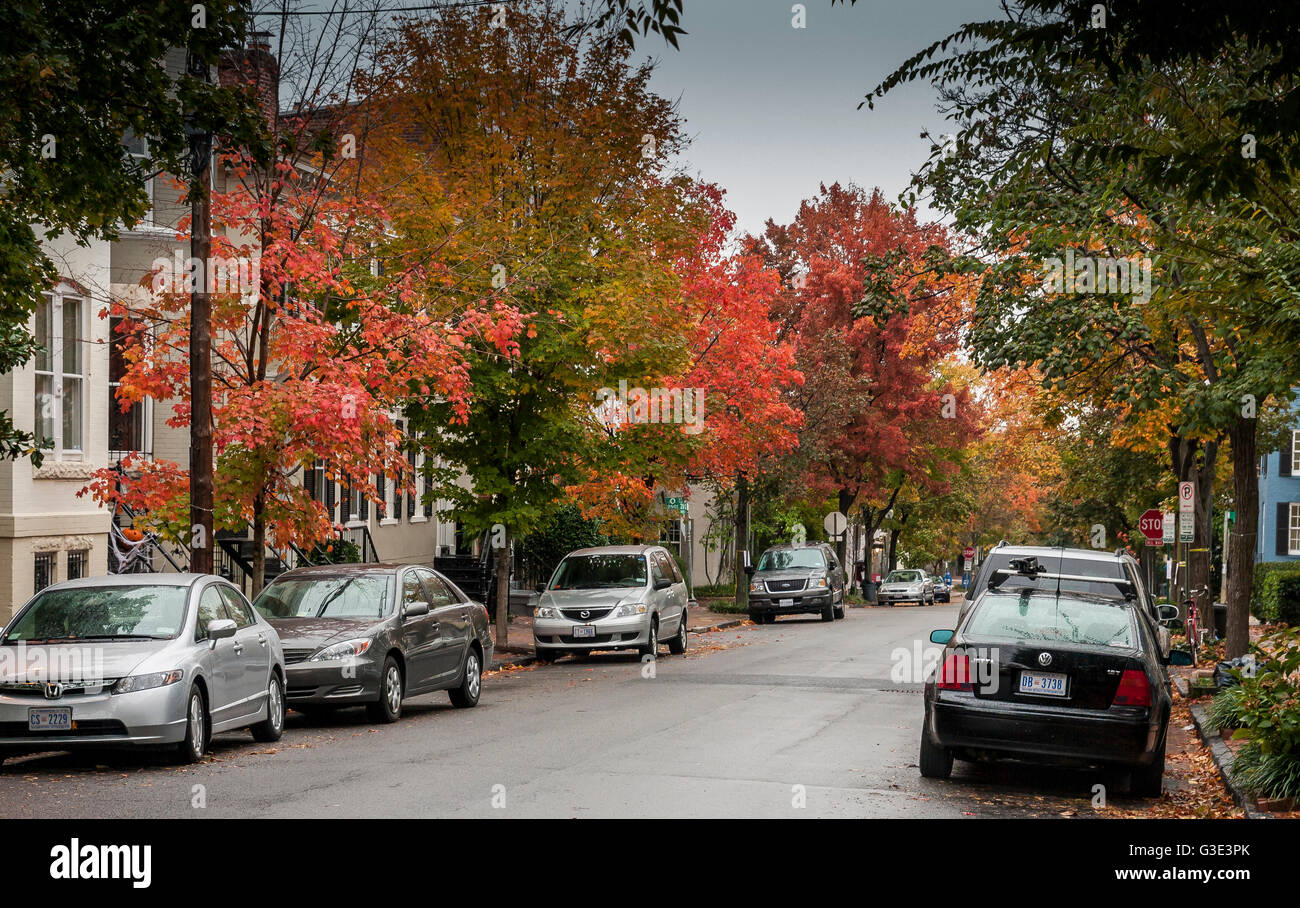 Una strada alberata con spettacolare autunno o autunno fogliame sugli alberi, Georgetown Washington DC Foto Stock