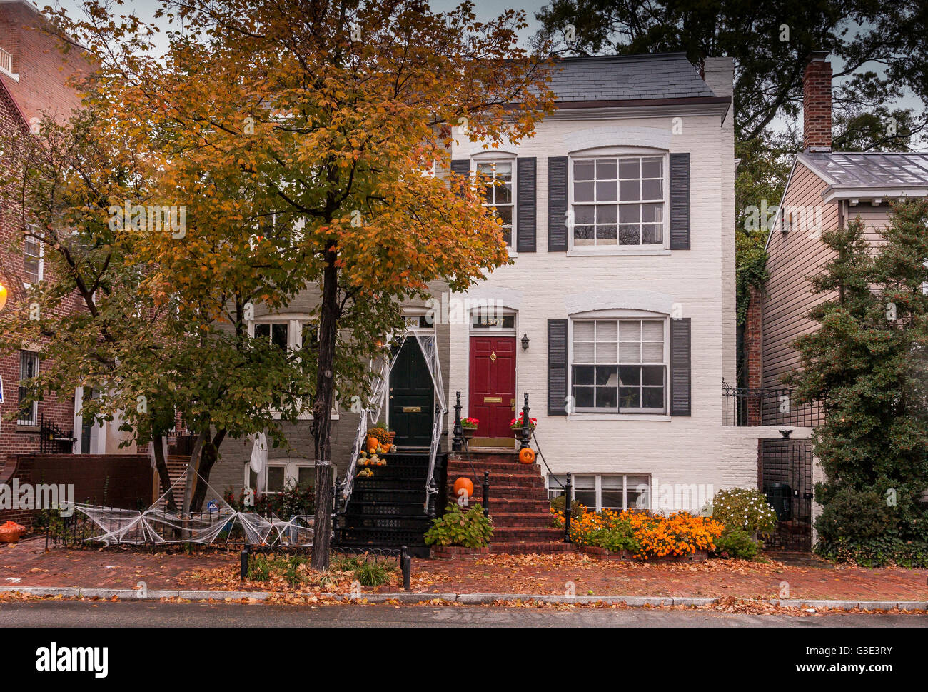 Case a Georgetown, Washington DC, decorate con zucche e ciottoli di Halloween , eorgetown , Washington DC , USA Foto Stock