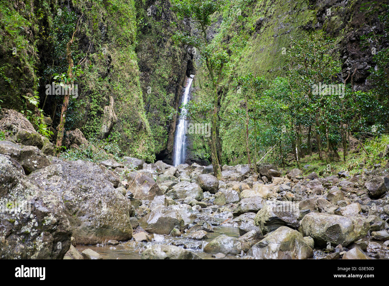 A cascata cade sacro stato parco; Oahu, Hawaii, Stati Uniti d'America Foto Stock