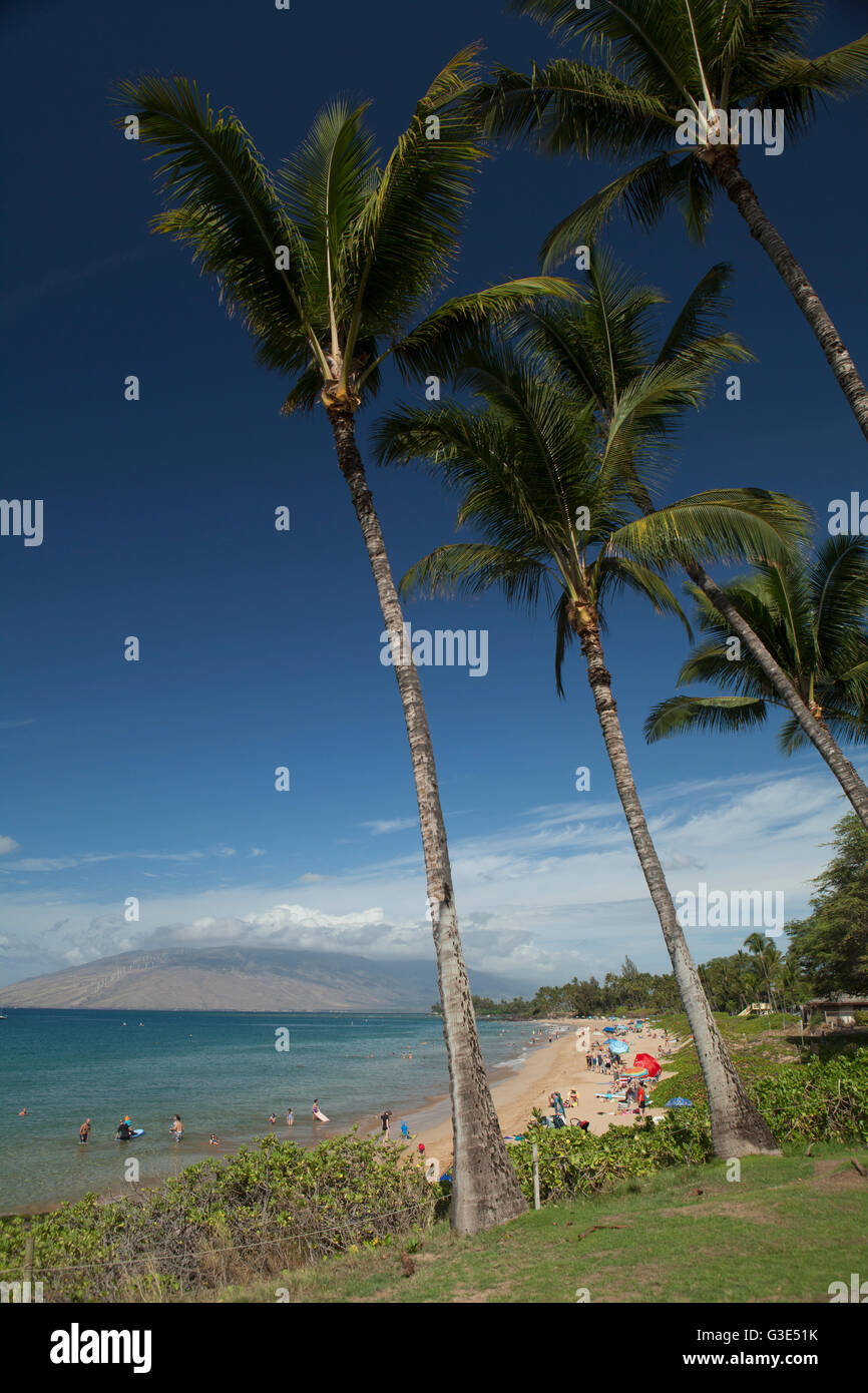 Sun bagnanti nuotatori, alberi di cocco, Kama'ole II & III Beach Park, (a distanza) montagne di West Maui; Kihei, Maui, Hawaii, STATI UNITI D'AMERICA Foto Stock