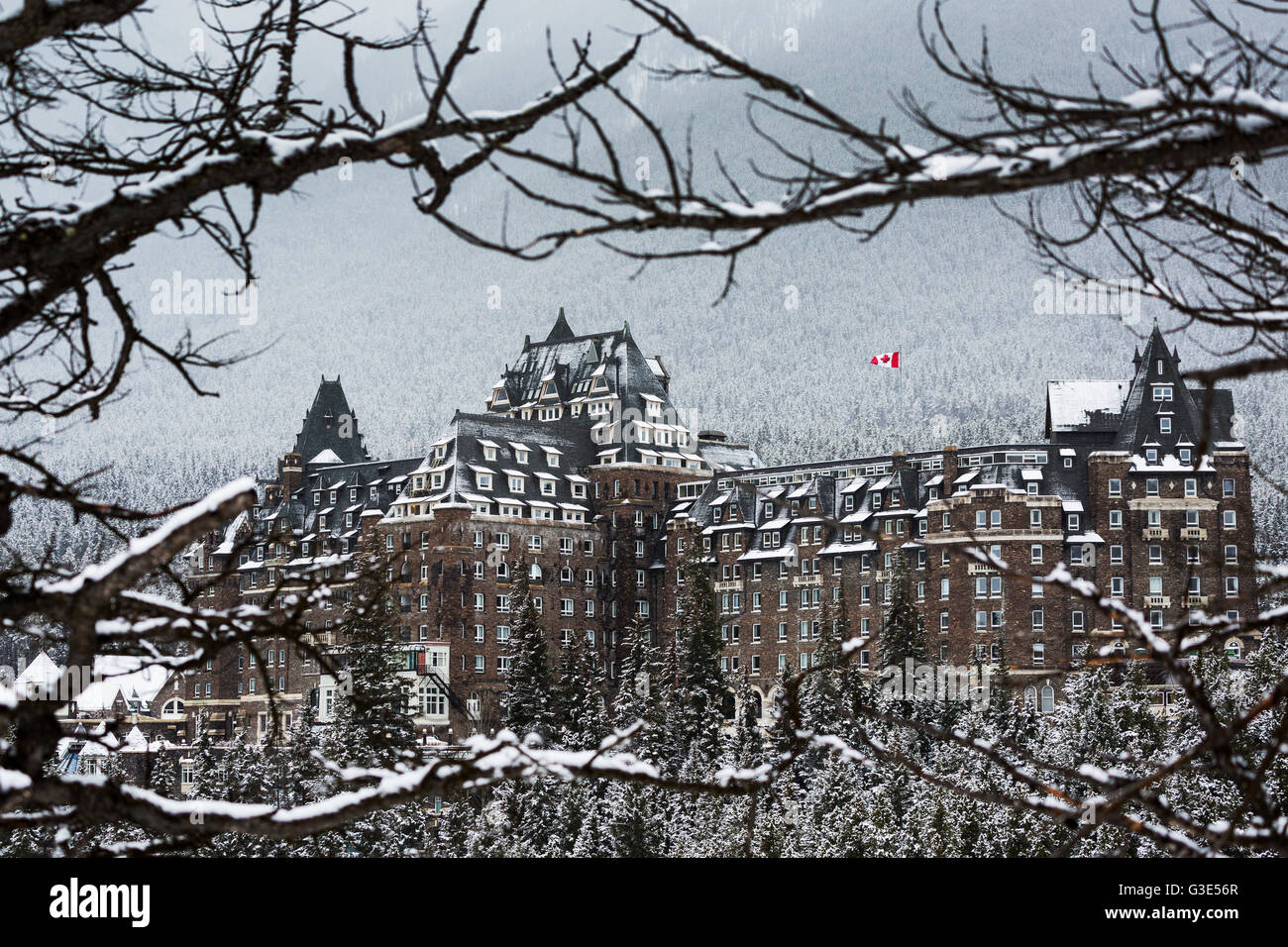 Coperta di neve Banff Springs Hotel incorniciato da rami di alberi con coperta di neve alberi sulla collina di montagna in background; Banff, Alberta, Canada Foto Stock